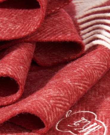 Шарф Унисекс FHs.W220_VN-2051/64.ROD